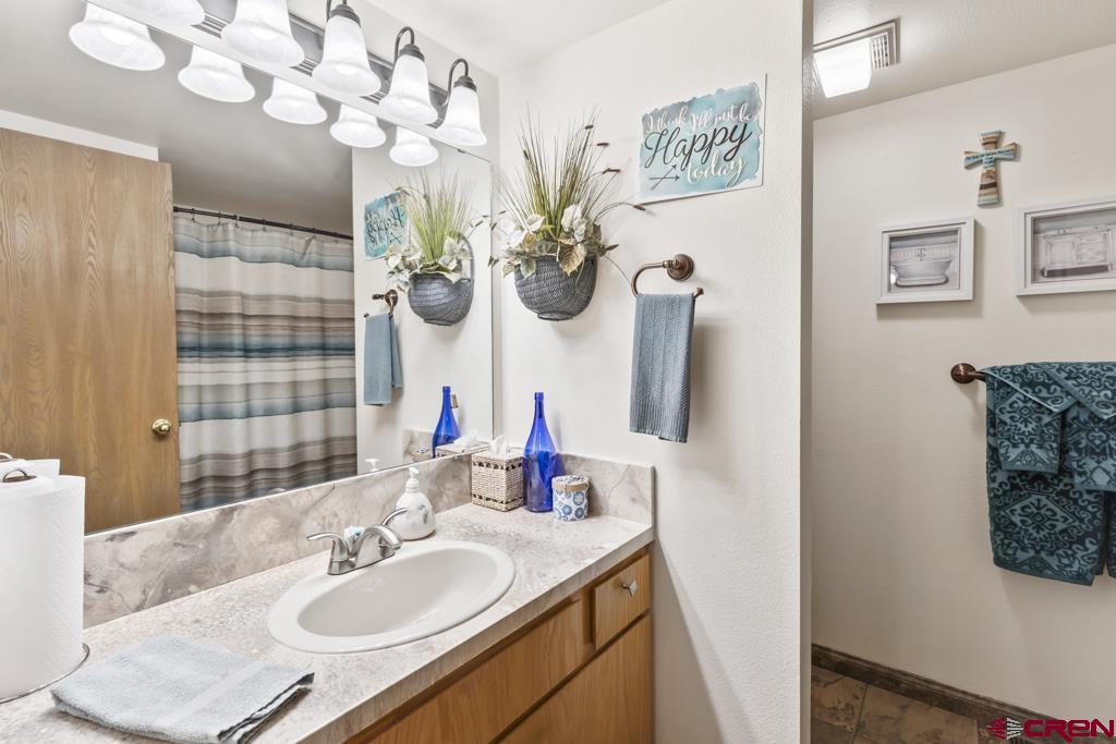 1043 Margo Court Montrose CO 81401
