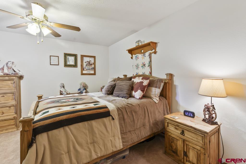 1043 Margo Court Montrose CO 81401
