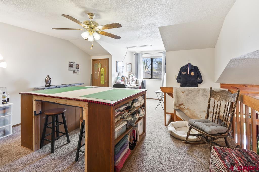 1043 Margo Court Montrose CO 81401