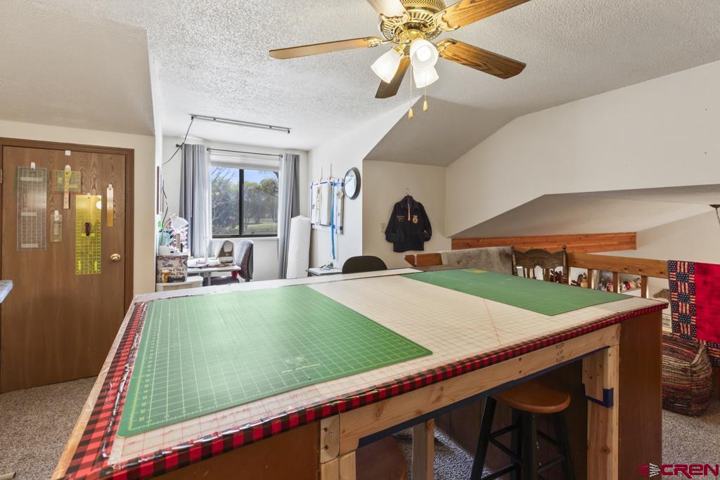 1043 Margo Court Montrose CO 81401