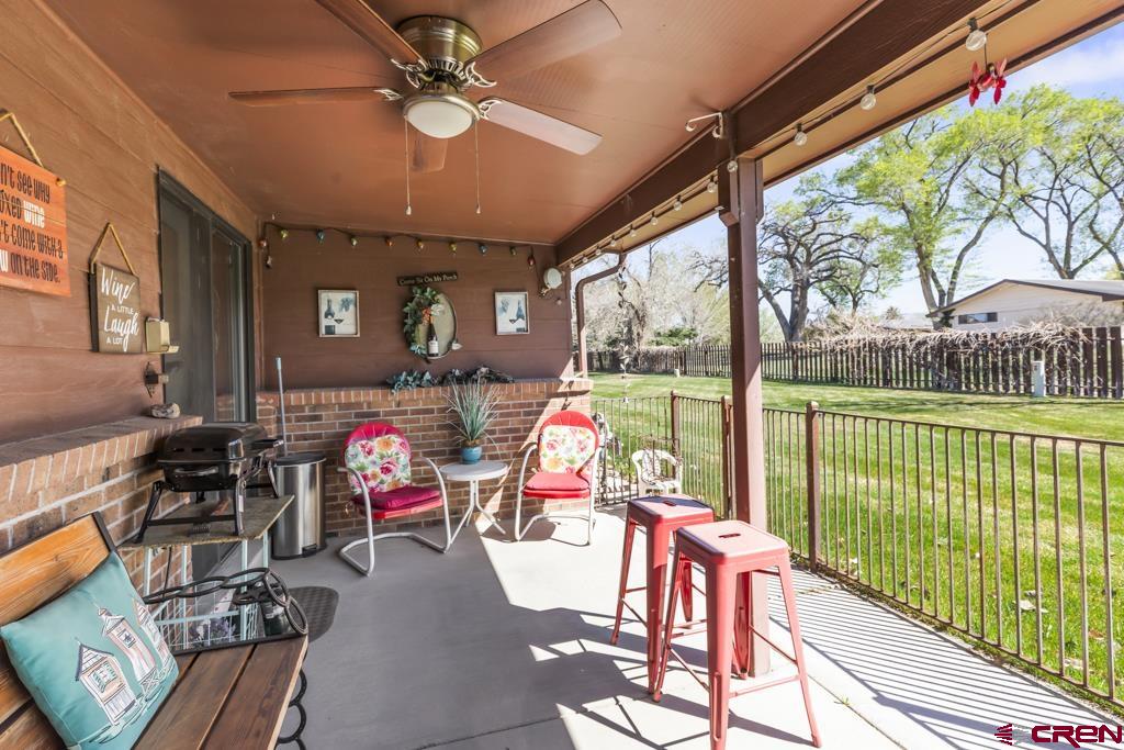1043 Margo Court Montrose CO 81401