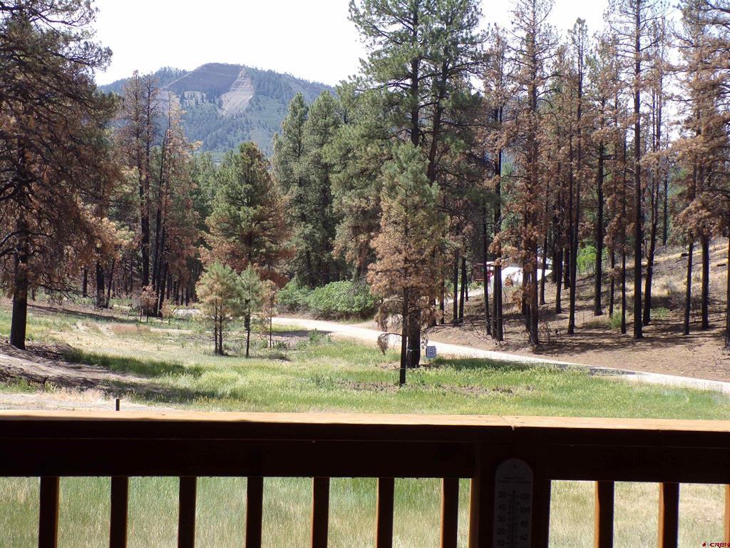 247 Spruce Circle Pagosa Springs CO 81147