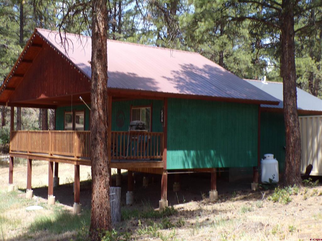 247 Spruce Circle Pagosa Springs CO 81147