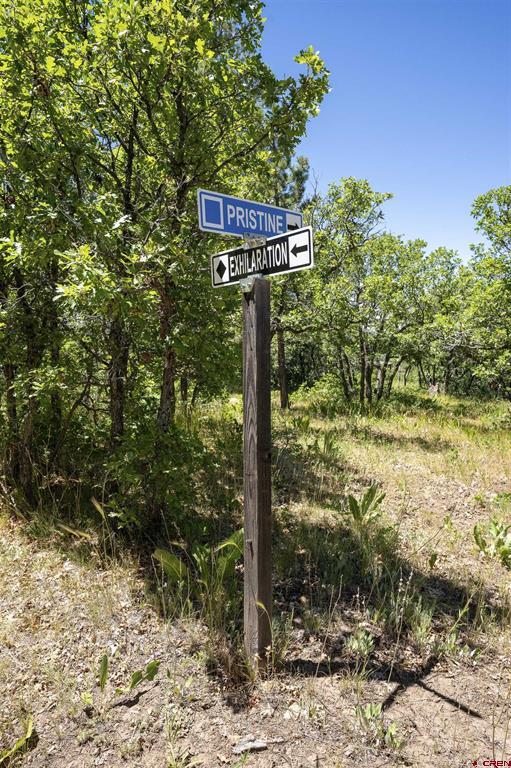 3149 Ranchland Drive Pagosa Springs CO 81147