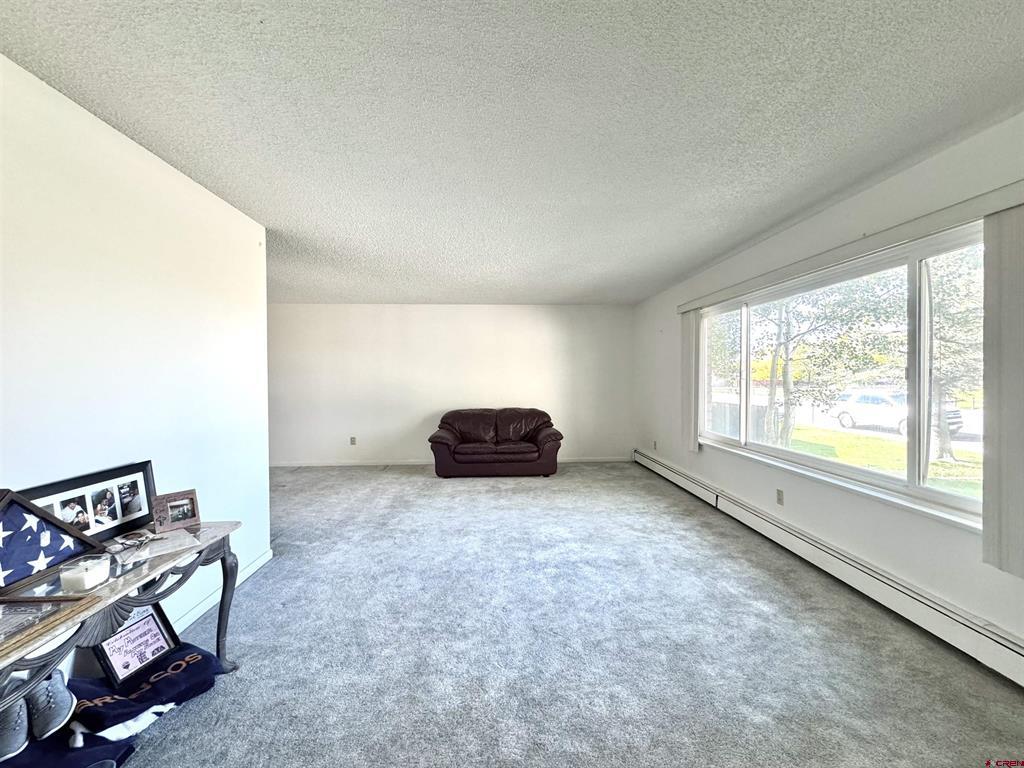 816 Weber Drive Alamosa CO 81101