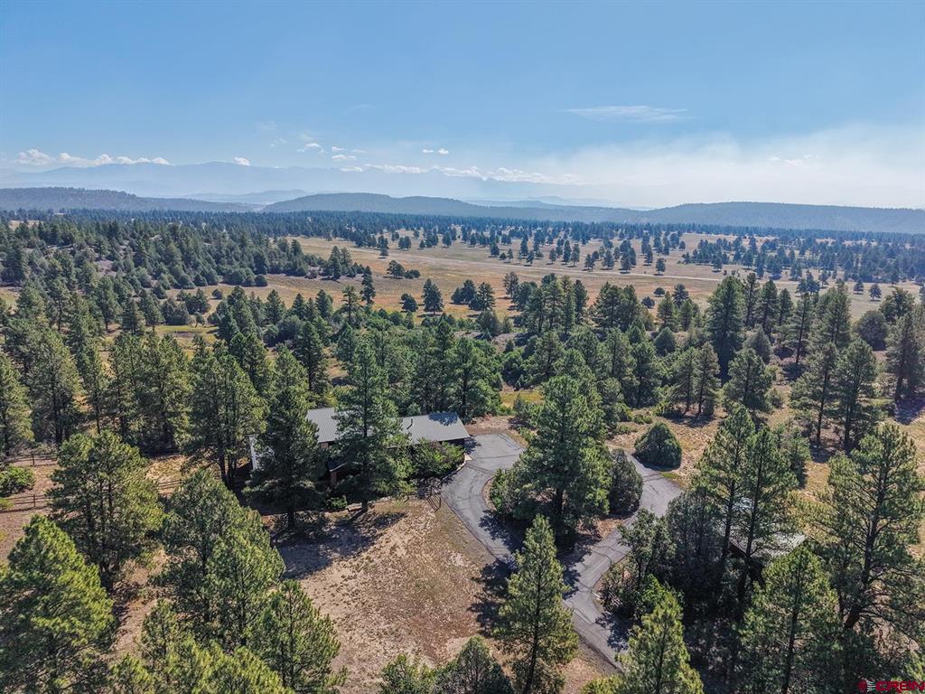 1480 Buttress Avenue Pagosa Springs CO 81147