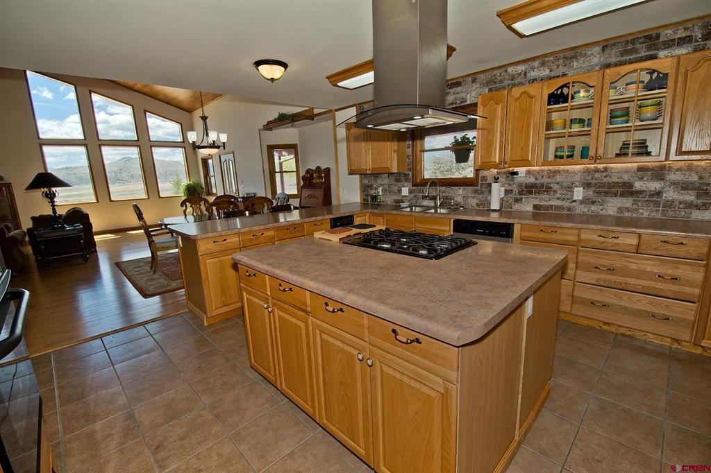 1135 County Road 13 Road Del Norte CO 81132