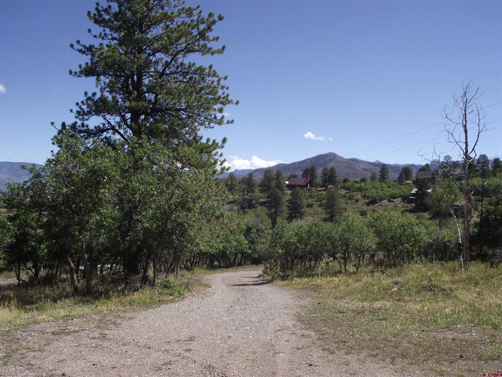 135 Aspenglow Lane Ridgway CO 81432