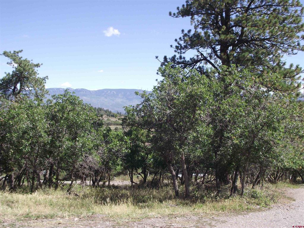 135 Aspenglow Lane Ridgway CO 81432