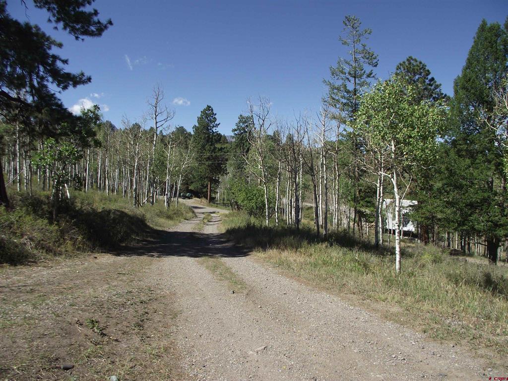 135 Aspenglow Lane Ridgway CO 81432