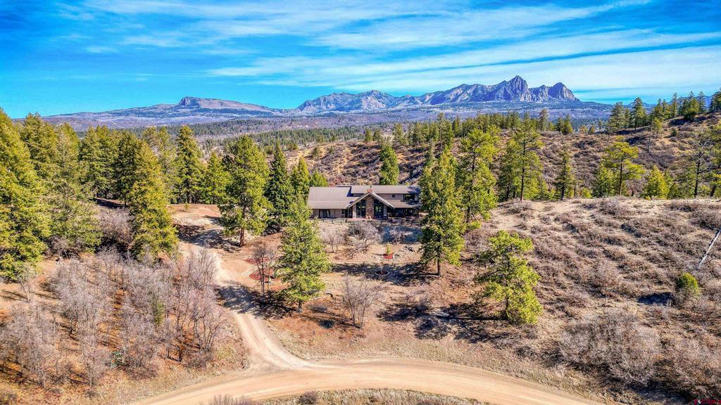 133 W Arbol Park Drive Pagosa Springs CO 81147