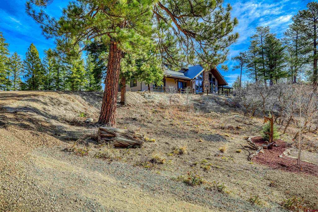 133 W Arbol Park Drive Pagosa Springs CO 81147