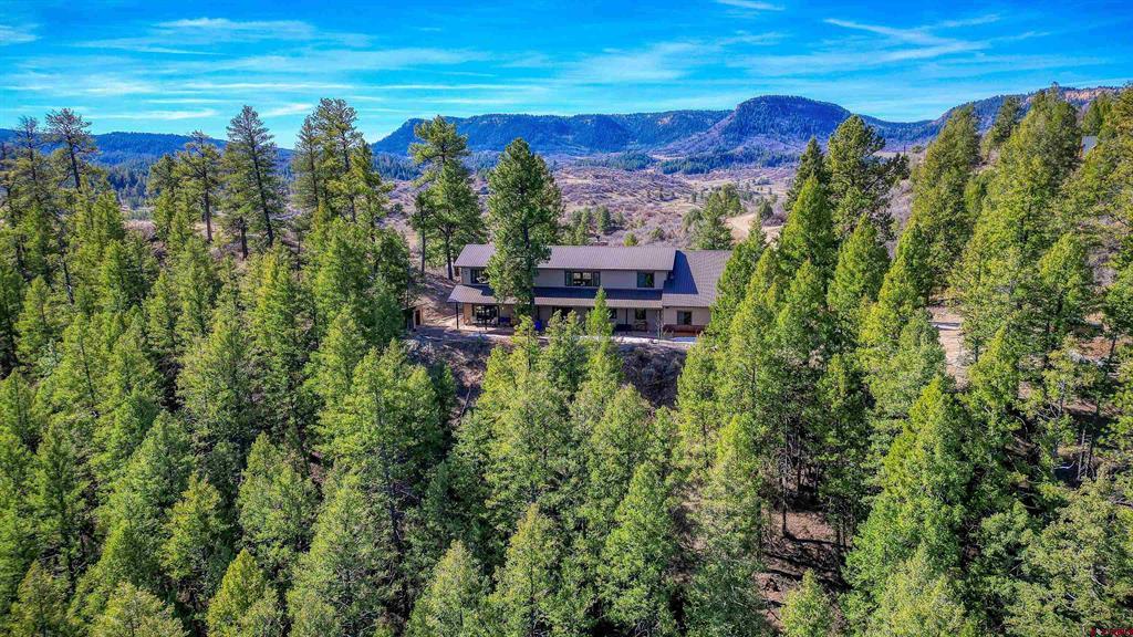 133 W Arbol Park Drive Pagosa Springs CO 81147