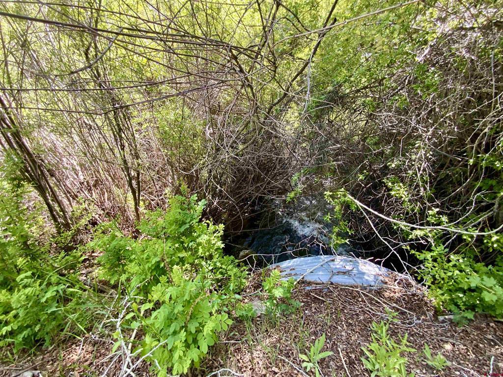 274 Tobin Lane Gunnison CO 81230