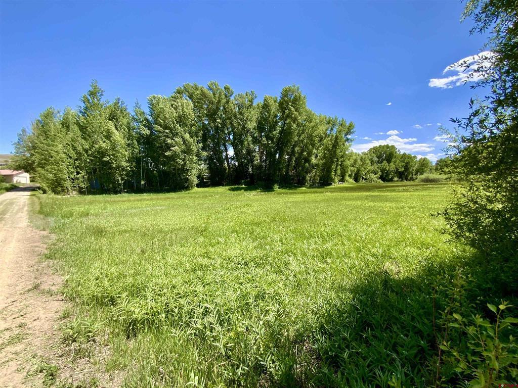 274 Tobin Lane Gunnison CO 81230