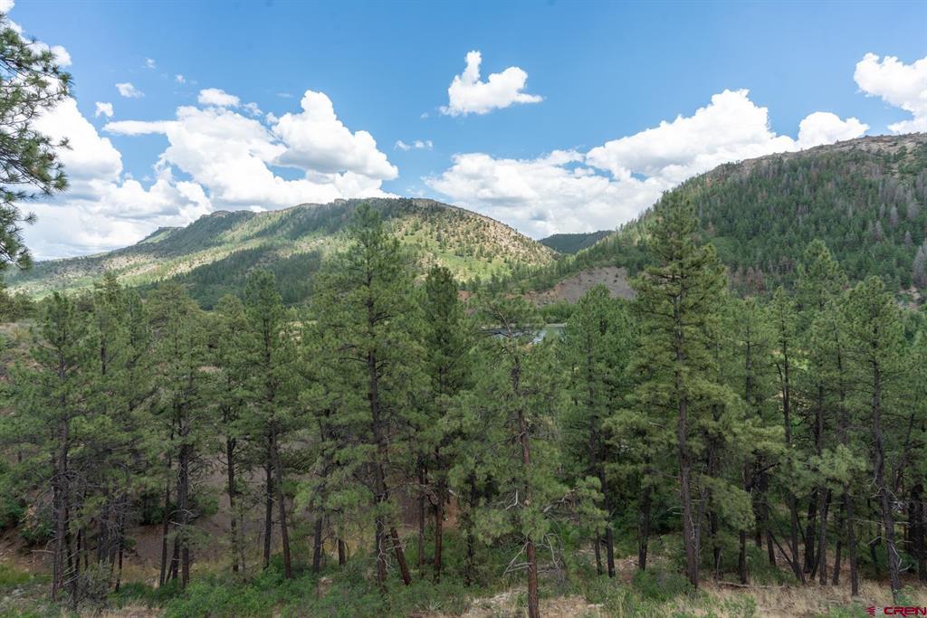 79 Hat Creek Court Durango CO 81301