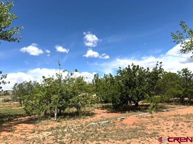 12427 Road G Cortez CO 81321