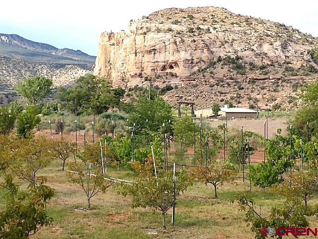 12427 Road G Cortez CO 81321