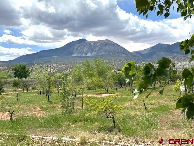 12427 Road G Cortez CO 81321