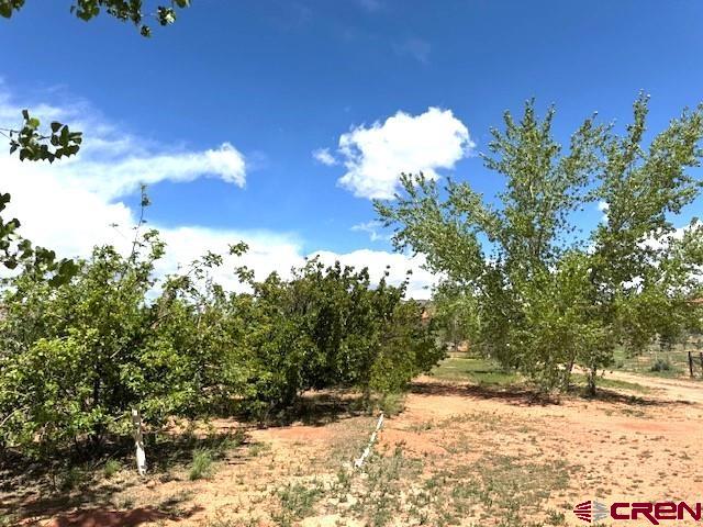 12427 Road G Cortez CO 81321