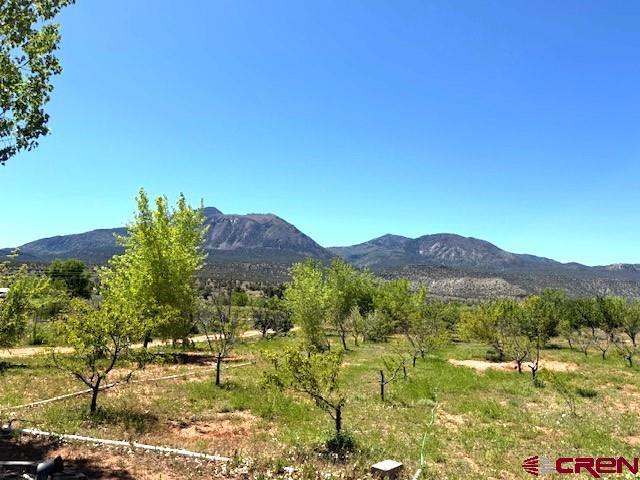 12427 Road G Cortez CO 81321