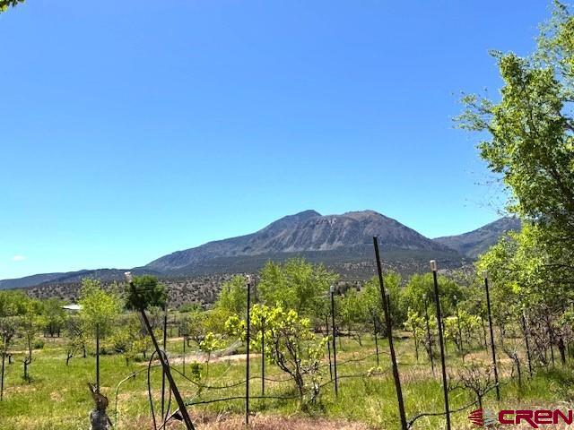 12427 Road G Cortez CO 81321