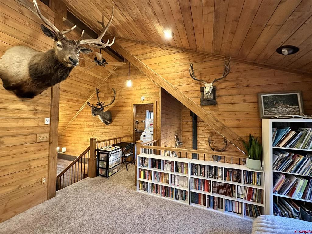 1415 And 1425 N Highway 149 Lake City CO 81235