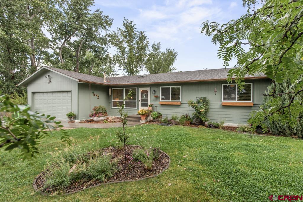 62183 Jig Road Montrose CO 81401
