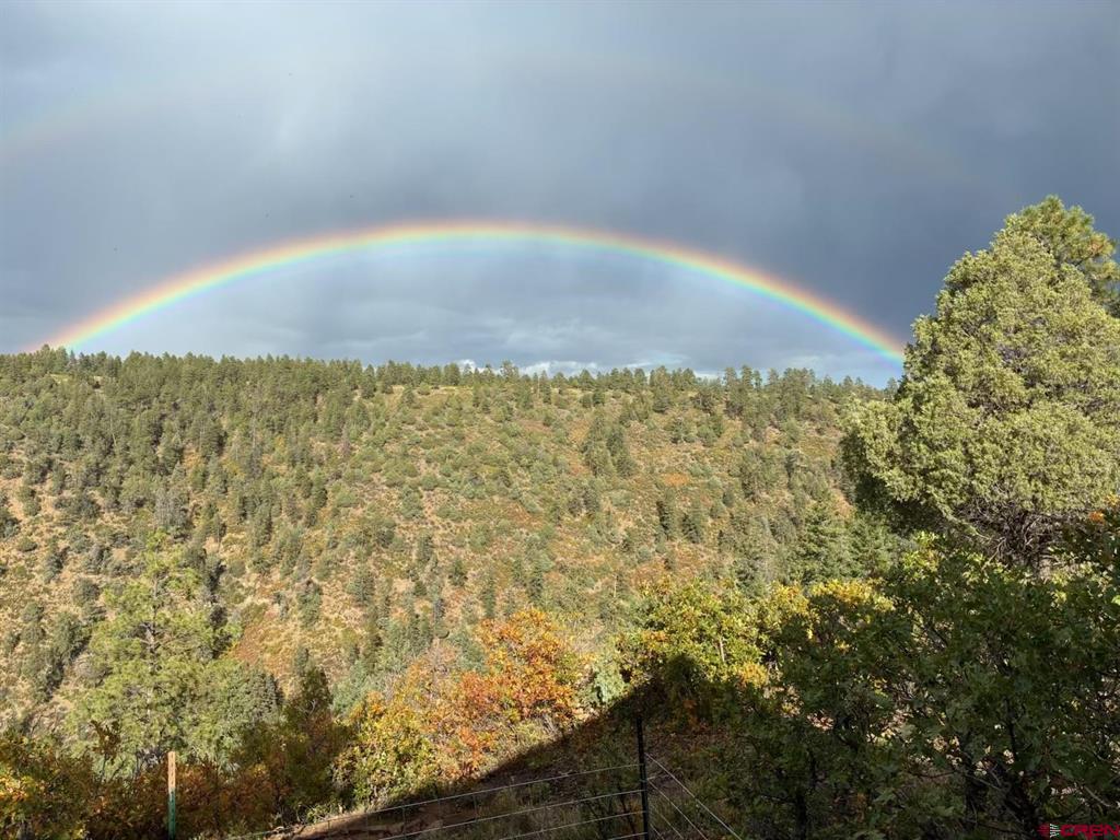 325 Gun Barrel Road Pagosa Springs CO 81147
