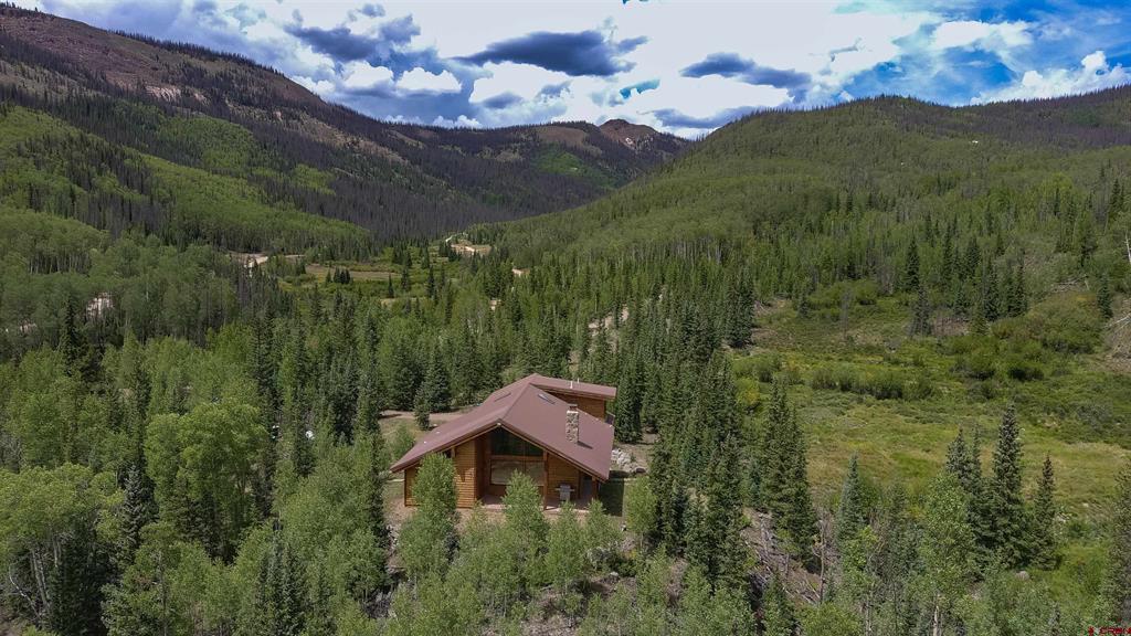4320 Forest Road #503 Creede CO 81130