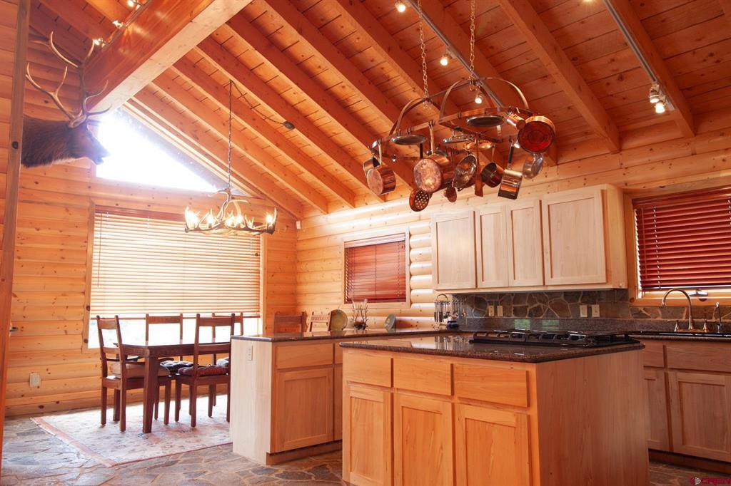 4320 Forest Road #503 Creede CO 81130