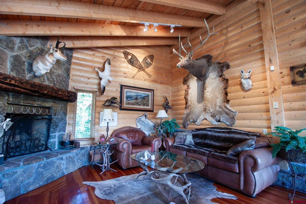 4320 Forest Road #503 Creede CO 81130
