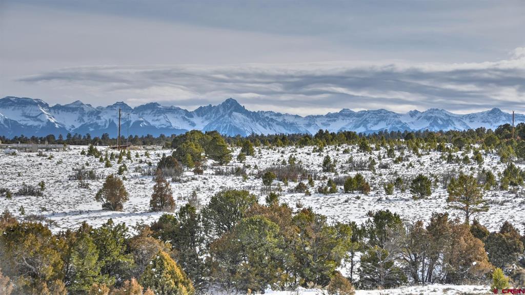 6568 County Road 1 Montrose CO 81403