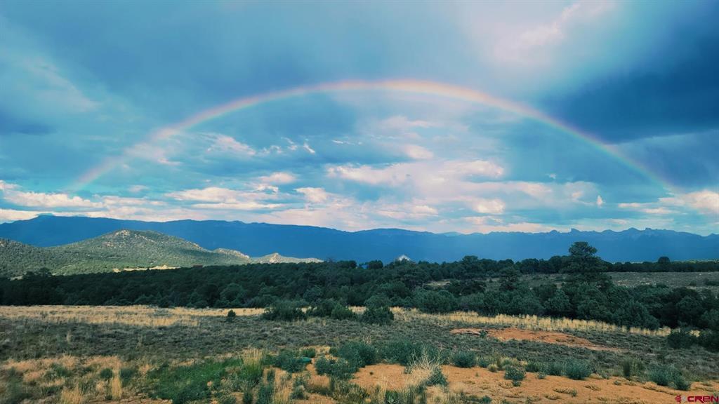6568 County Road 1 Montrose CO 81403