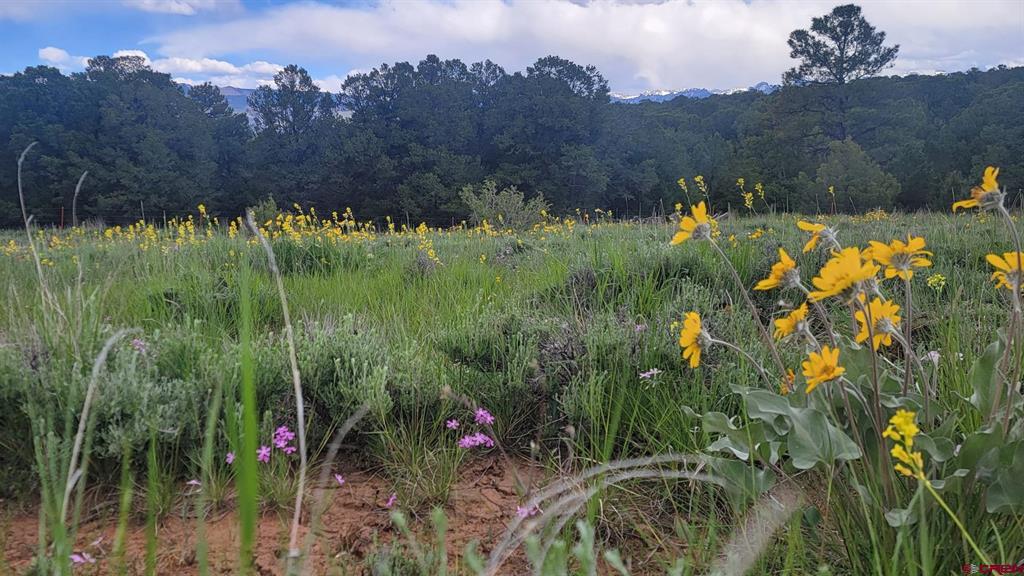 6568 County Road 1 Montrose CO 81403