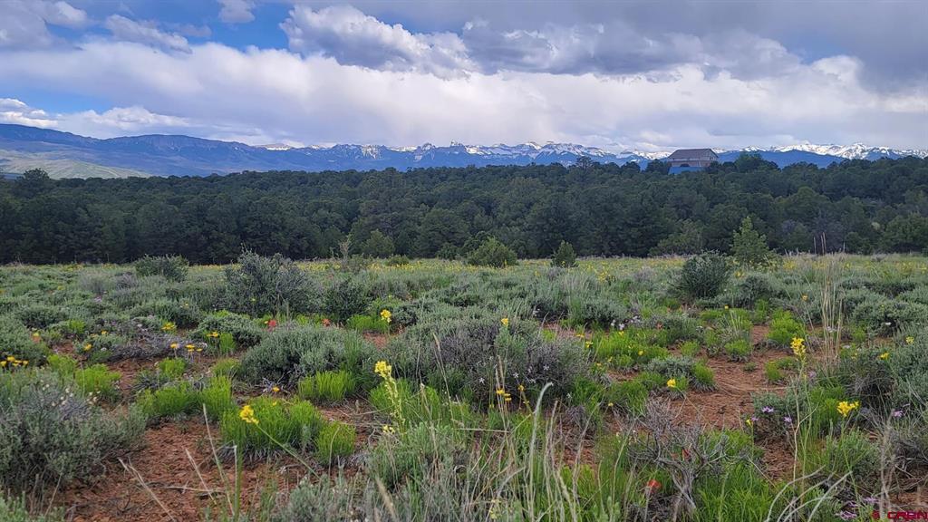6568 County Road 1 Montrose CO 81403