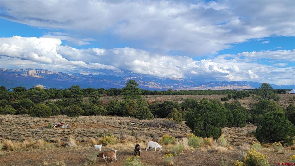 6568 County Road 1 Montrose CO 81403
