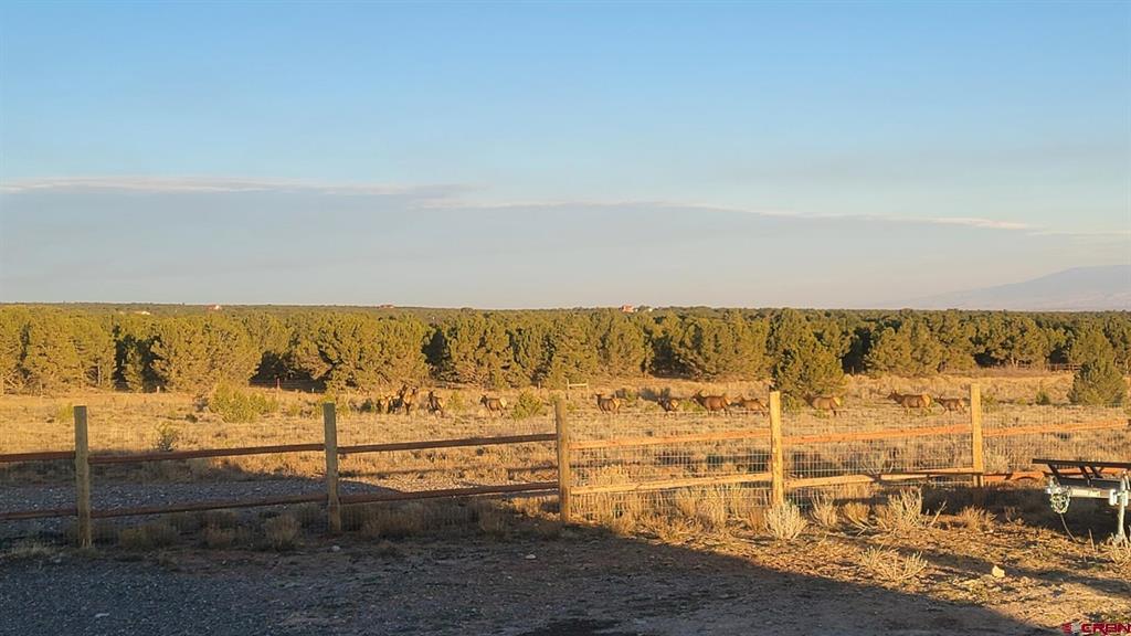 6568 County Road 1 Montrose CO 81403
