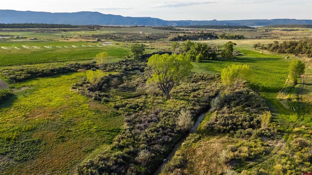 777 County Road 977 Arboles CO 81147