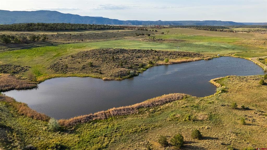 777 County Road 977 Arboles CO 81147