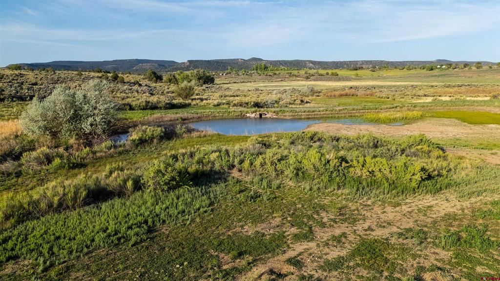 777 County Road 977 Arboles CO 81147