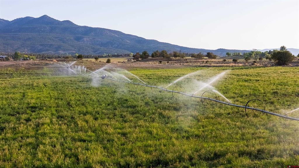 777 County Road 977 Arboles CO 81147