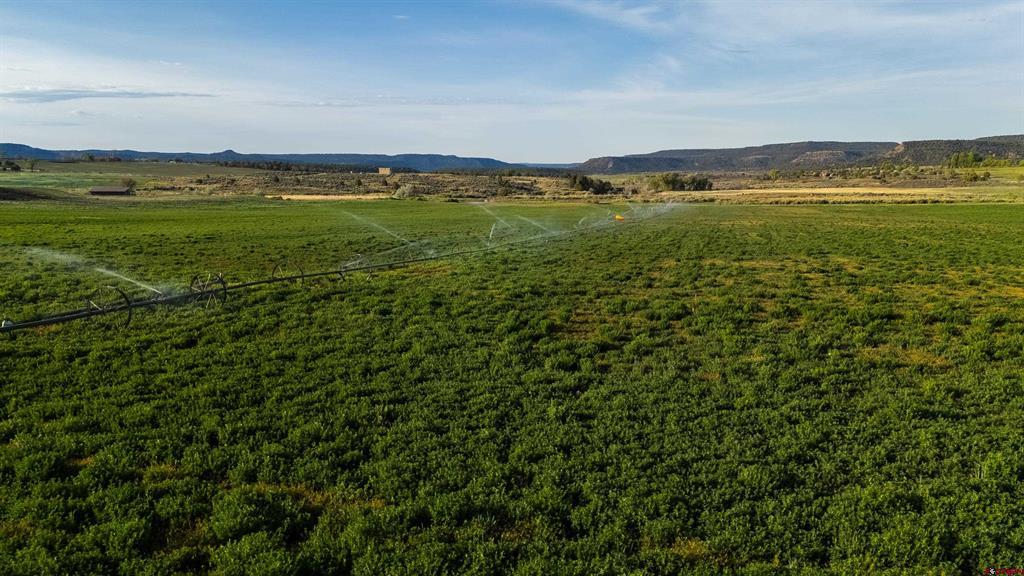 777 County Road 977 Arboles CO 81147