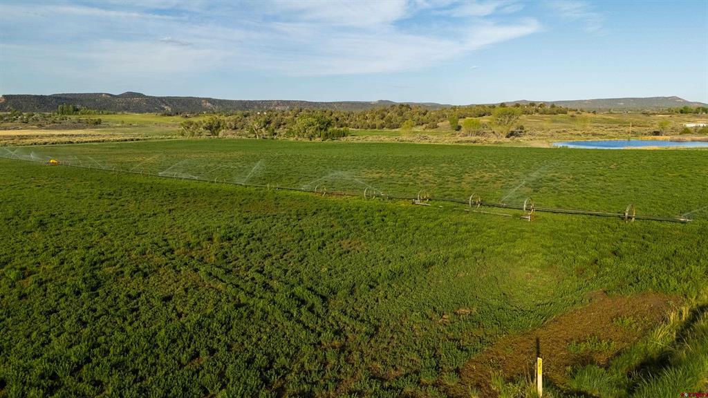 777 County Road 977 Arboles CO 81147