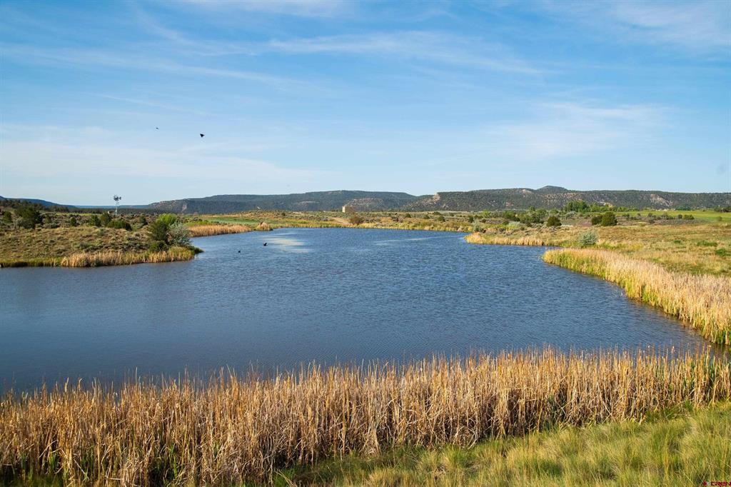 777 County Road 977 Arboles CO 81147