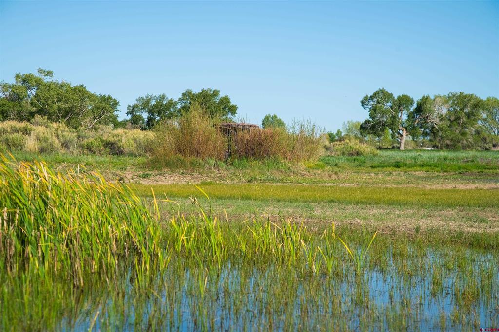 777 County Road 977 Arboles CO 81147