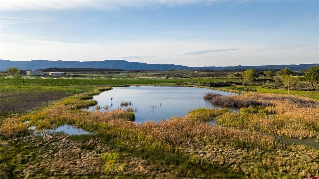 777 County Road 977 Arboles CO 81147