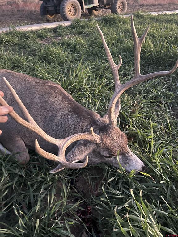 777 County Road 977 Arboles CO 81147