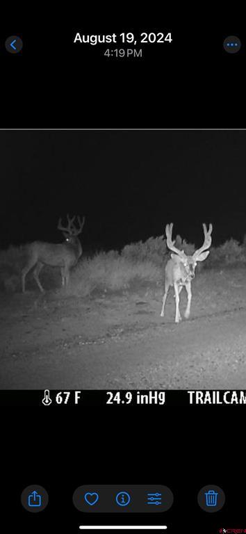 777 County Road 977 Arboles CO 81147