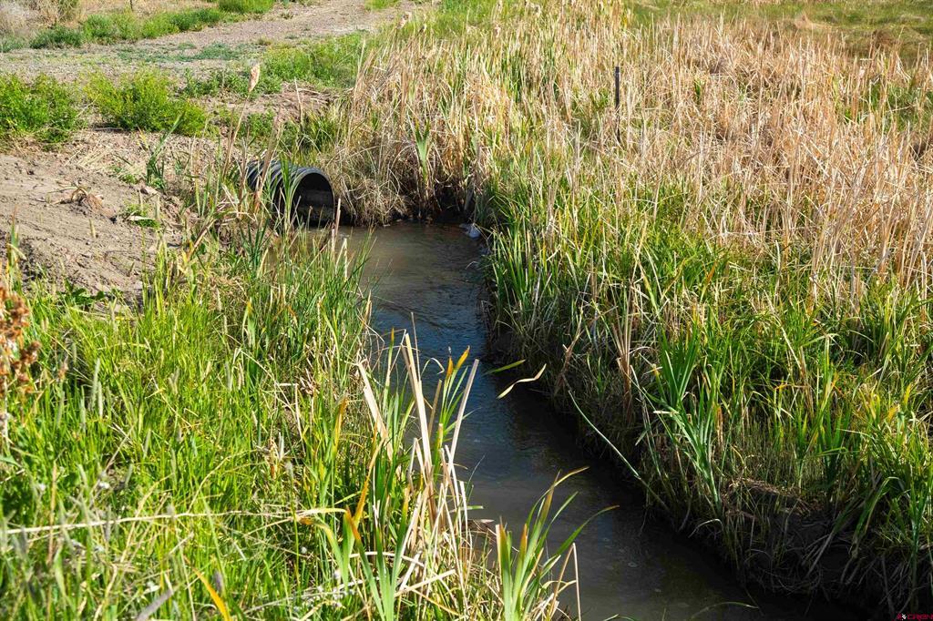 777 County Road 977 Arboles CO 81147